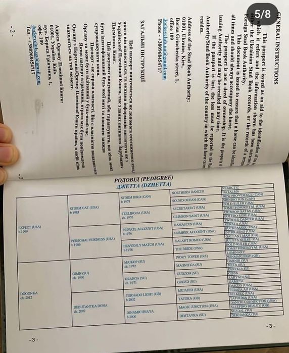 Тазақанды байтал