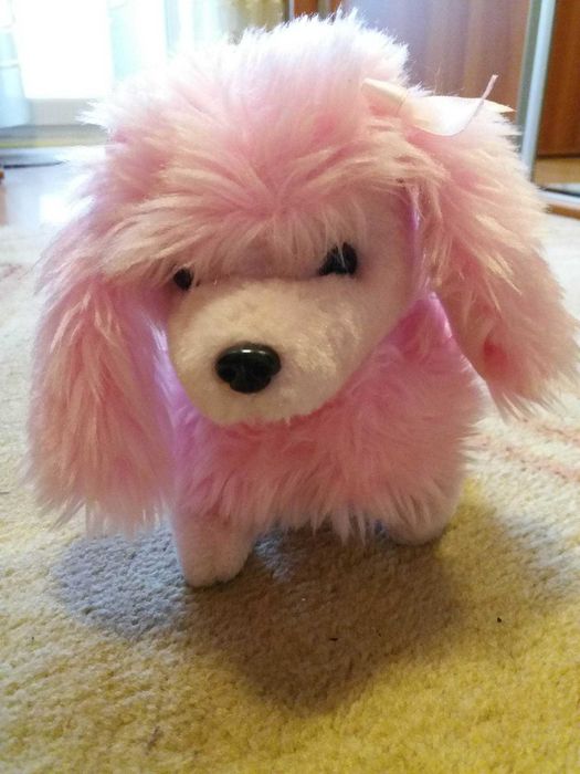 Интерактивно кученце