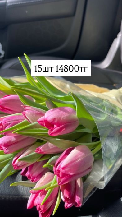 Тюльпаны оптом и в розницу
