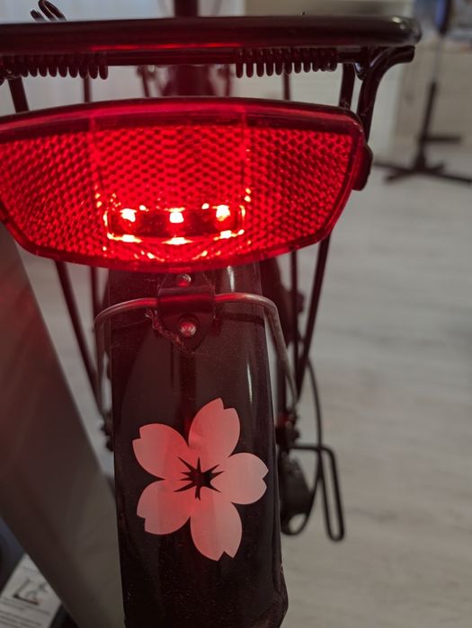Bicicleta pliabila Bottari Modena