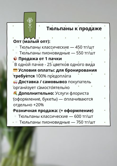 Тюльпаны Алматы оптом и в розницу