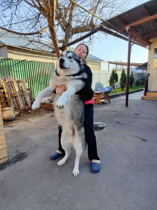 Ищем подружку для свиданий