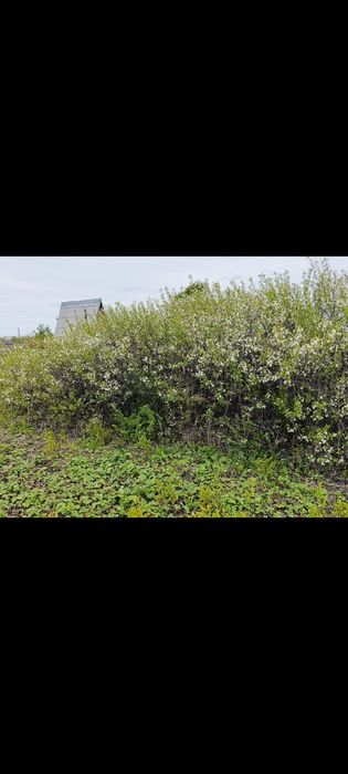 Продам дачу Со Дархан 1 напротив Кунай.