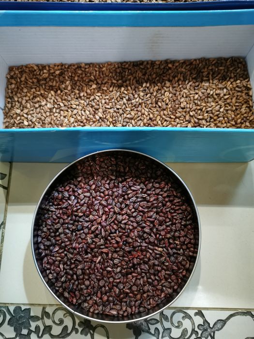 Косточки винограда (семечки)