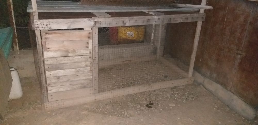 Балапанға сетка сатылады