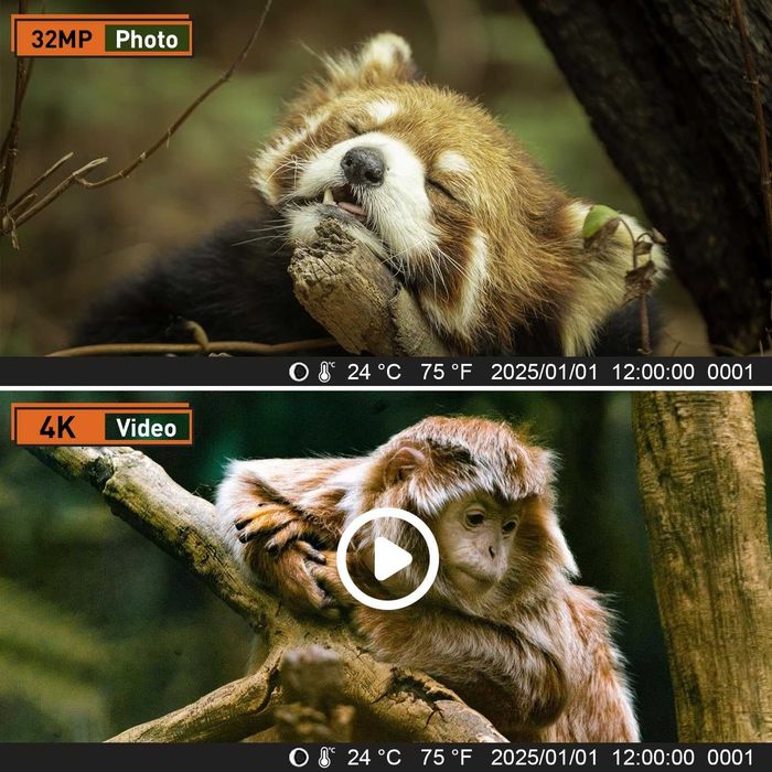 Ловна камера, 60MP, 4к видео, 0.1 сек за задействане, IP66водоу - нова