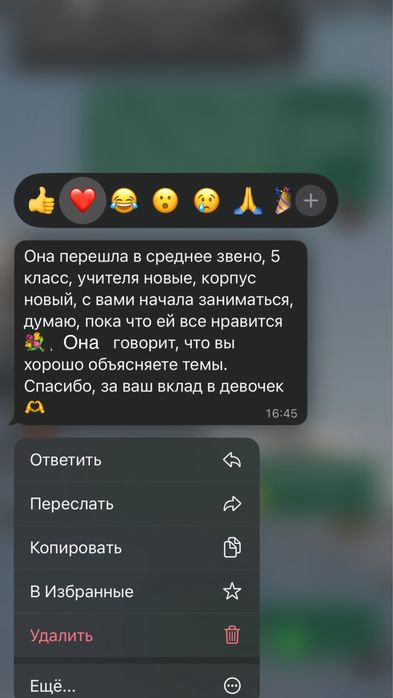 Репетитор по математике 5-11 классы