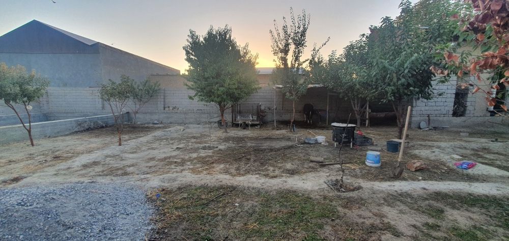 Hovli sotiladi 8 sotiq