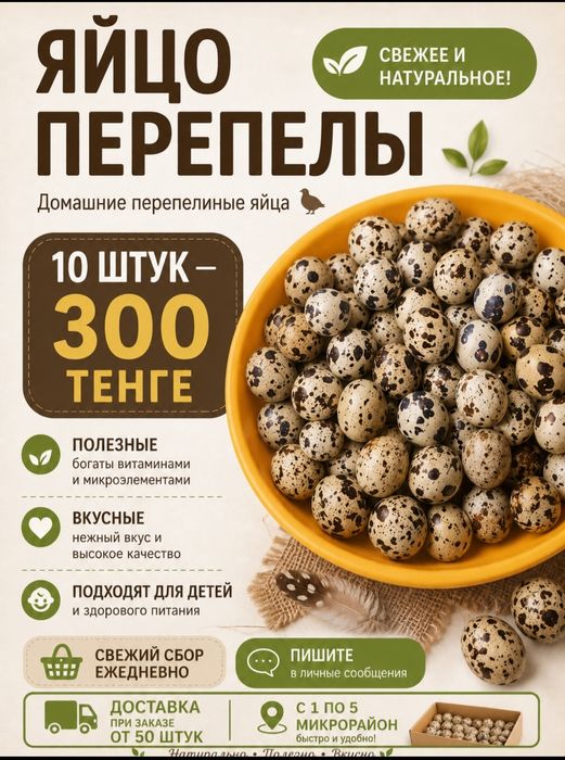 Перепелинное яйцо