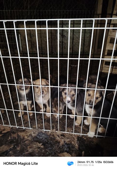 Подарявам бебета