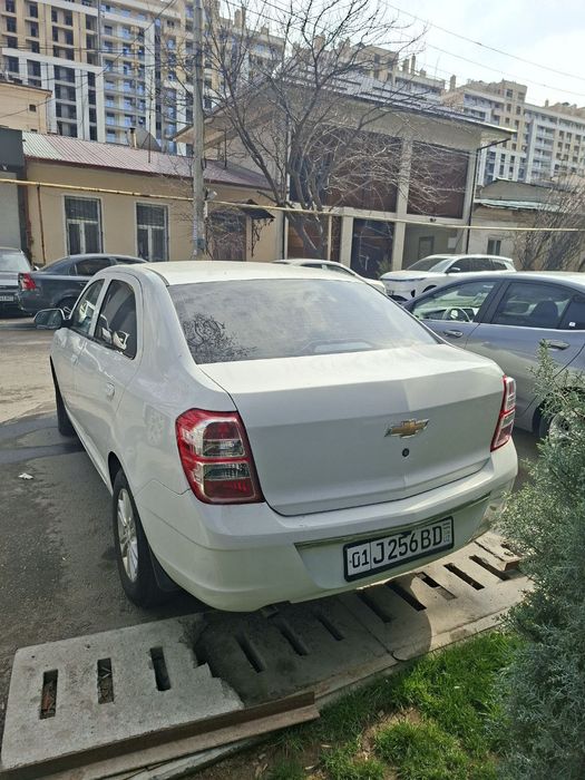 Cobalt 2022 Avtamat 4 pazitsa