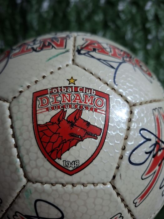 Minge Dinamo sezonul 2006-2007