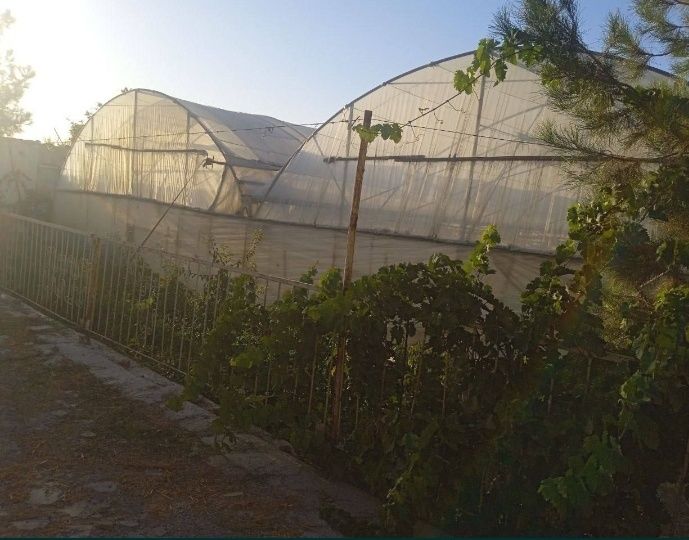 Таер бизнес типлиса сотилади