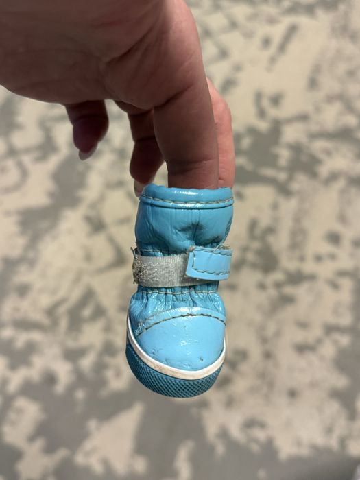 Отдам ботиночки для собак