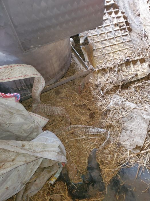 съд за млекомат 200л inox