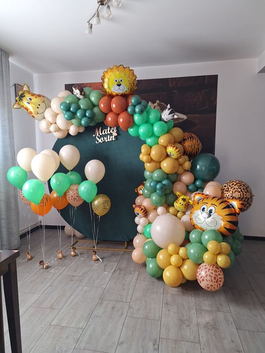 Baloane si aranajamente din baloane