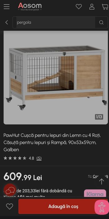Cusca iepure/porcusor guineea