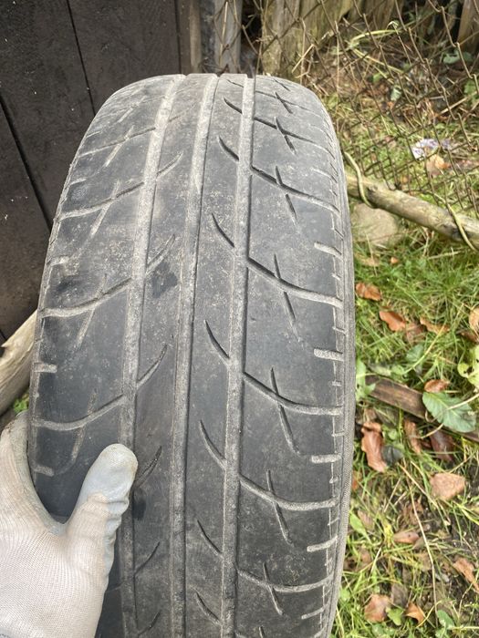 Jenti pentru w pasat  pe 16