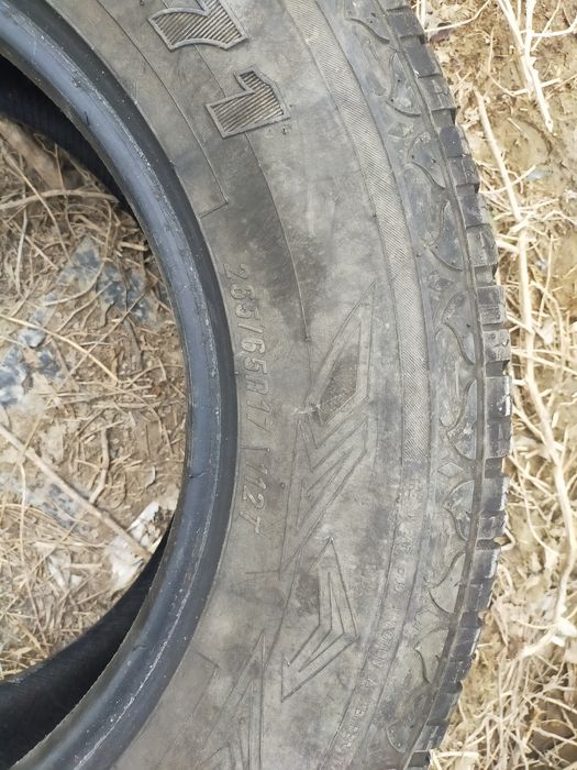 Жазғы дөңгелек 17лік