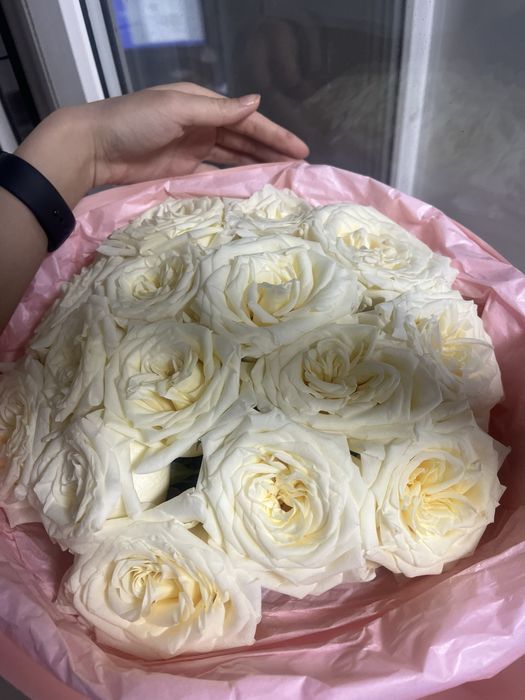 БЕЛЫЕ РОЗЫ 15 шт Пышные