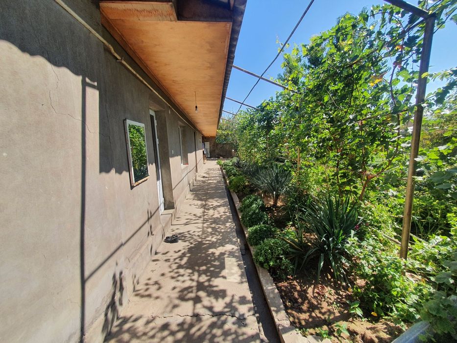 Uy sotiladi    Assalomu aleykum Kok saroyda Uchastka sotiladi 8 sotix