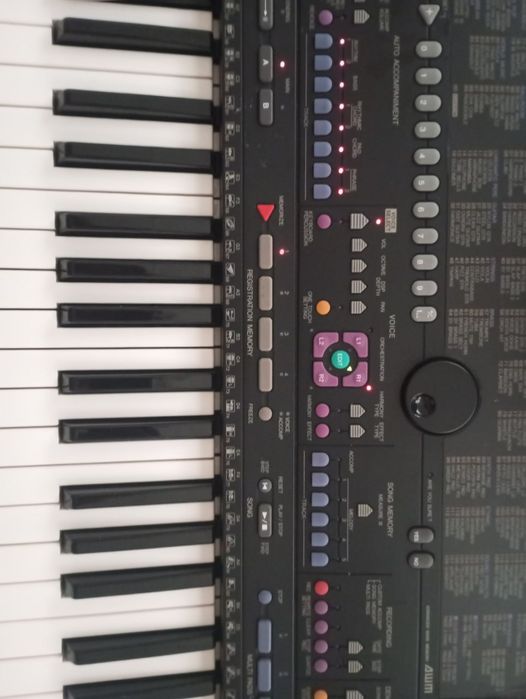 Yamaxa 510 toza yaponskiy arginal 1 yil ( gr ) + bonus