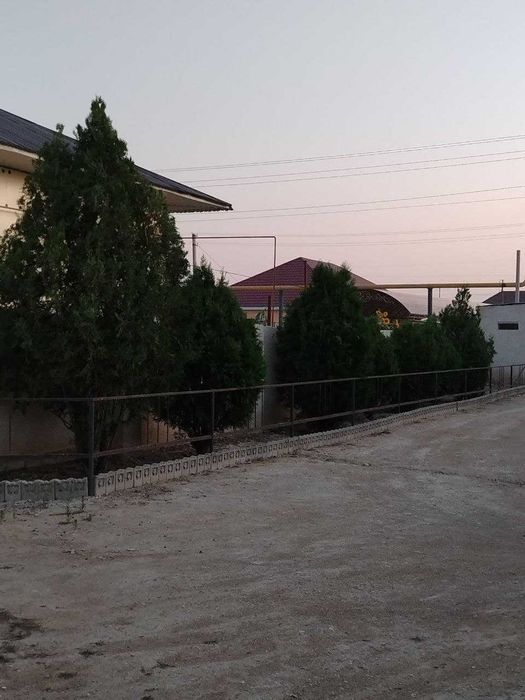 кызыл-төбе балауса көшесі