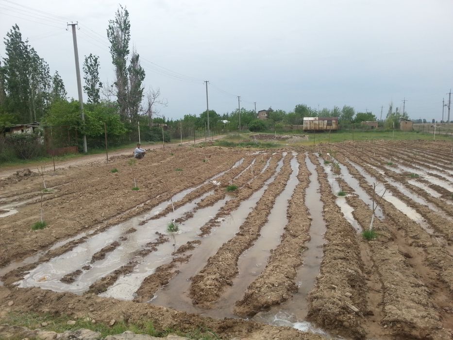 Дачный участок 12 сот.