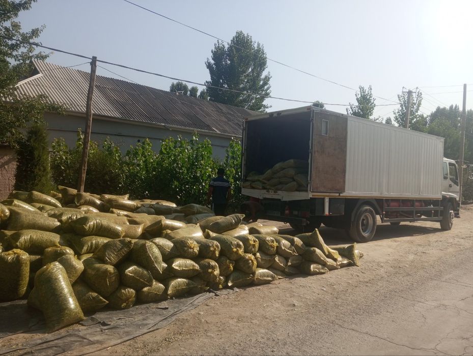 Silos optom 18 000ming