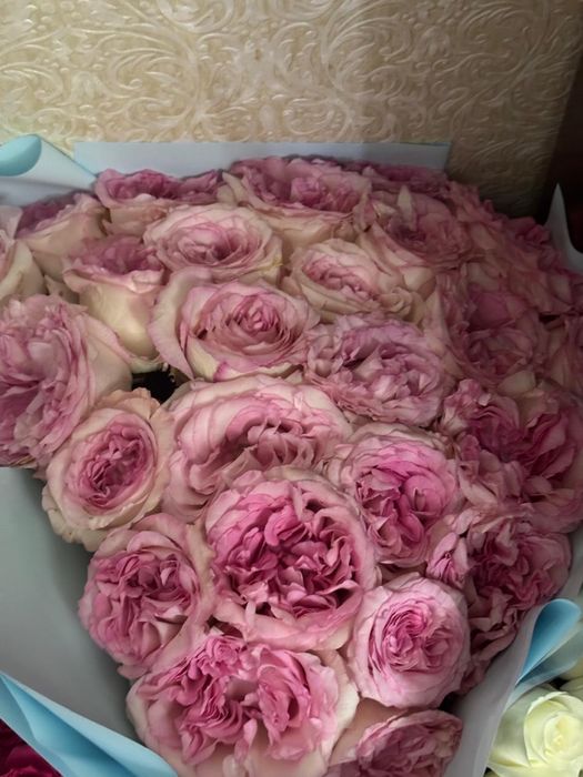 Продам Цветы,Подарили только что