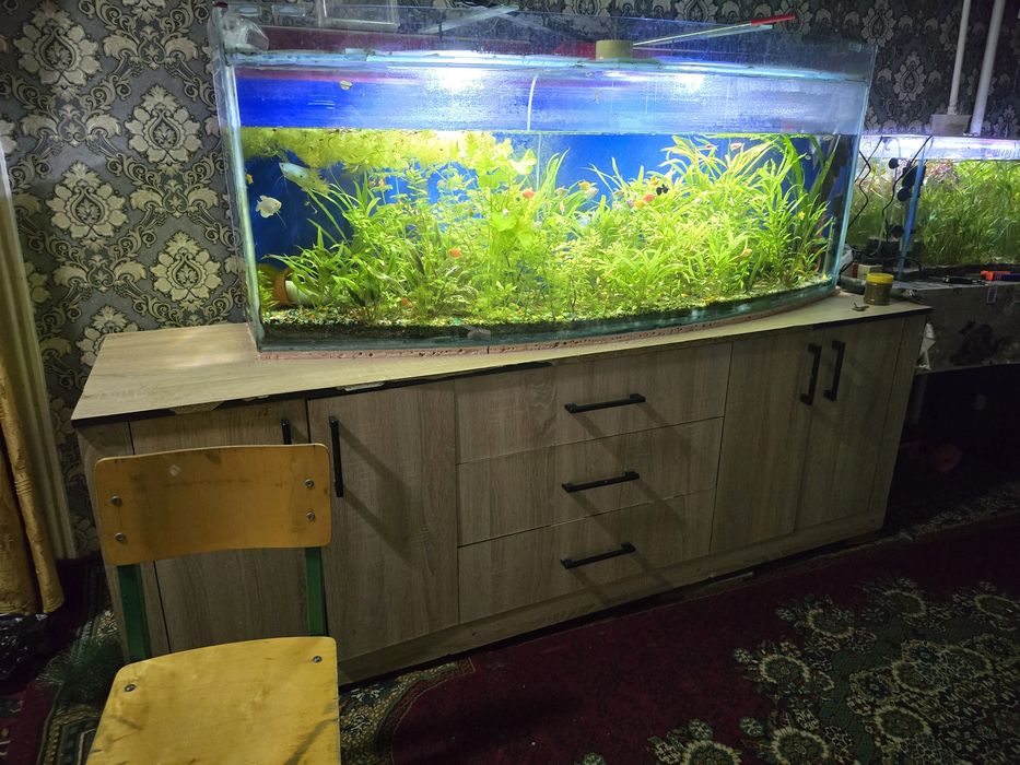 Аквариум сотилади