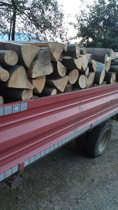 Lemn de fag pentru foc