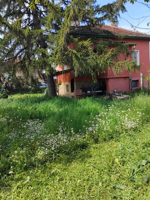 Къща в град Кривол , област Монтана(ВРАЧАНСКО)-0885119498
