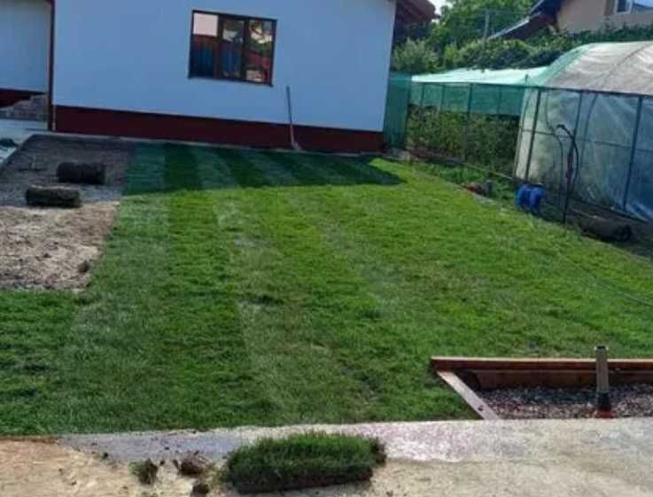 Gazon Natural Dens – Verificare Video și Montaj la Adresă