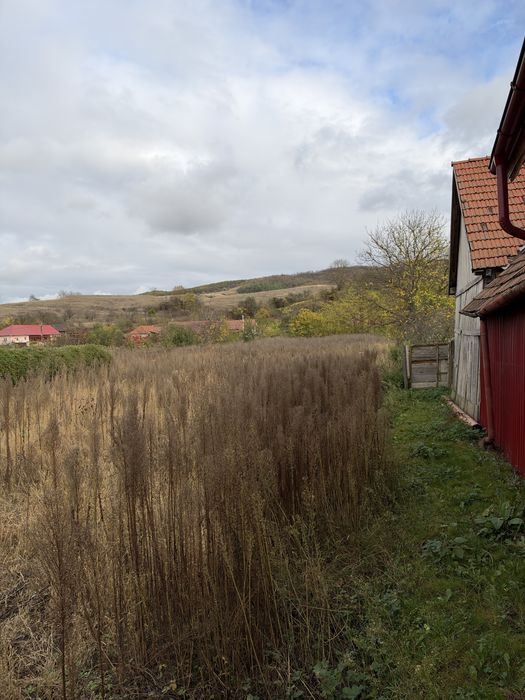Teren Intravilan Seica Mica Sorostin la 15 Km de Blaj