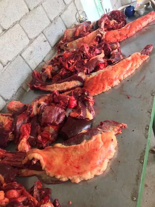 Жылкы ети 2400тг