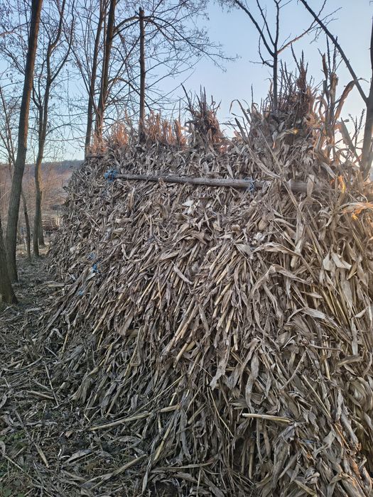 Baloți lucerna baloți de paie strujeni