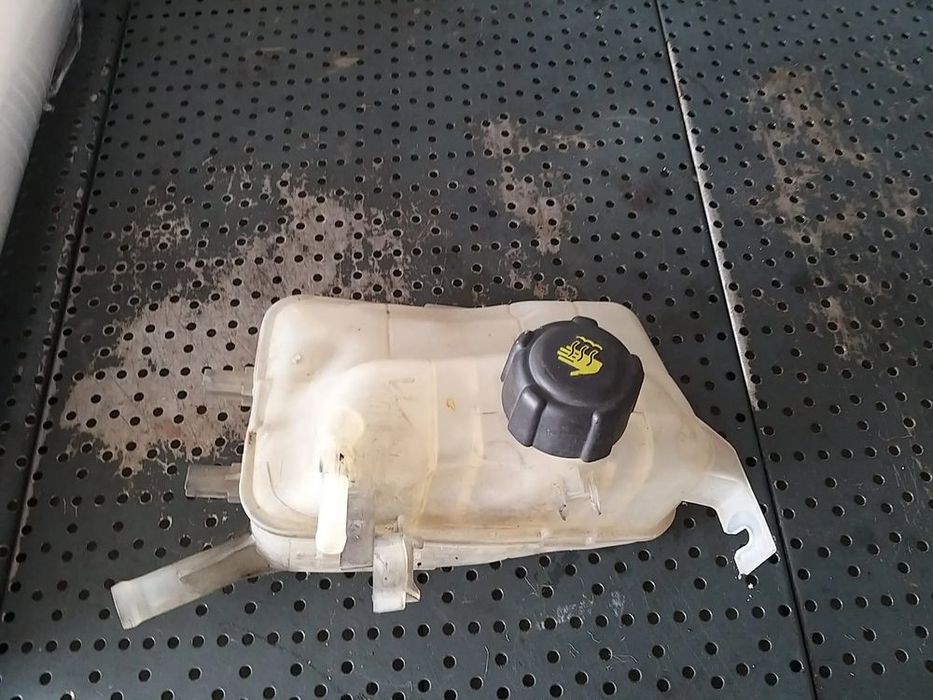 Vas expansiune 1.5 dci renault scenic 3 217100005r
