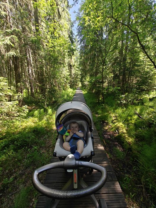 Stokke V5, carut copii