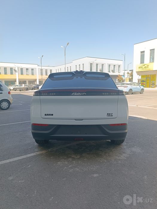 Dongfeng sky ev01