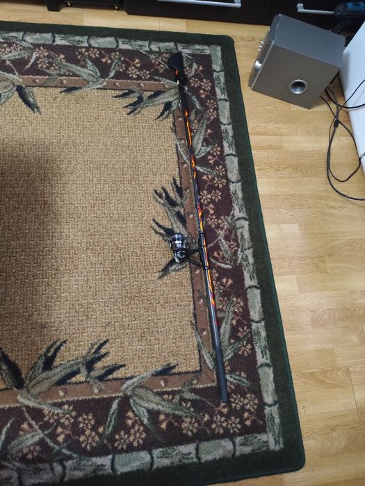 Lanseta bologneza +mulineta