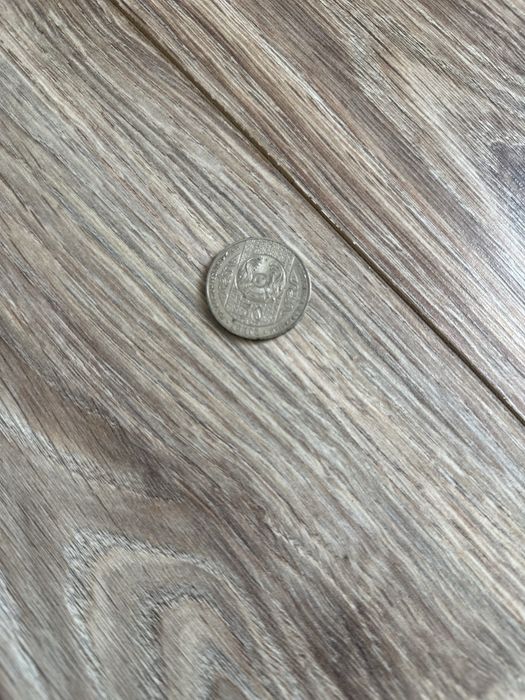 Продам монету Бесикке салу