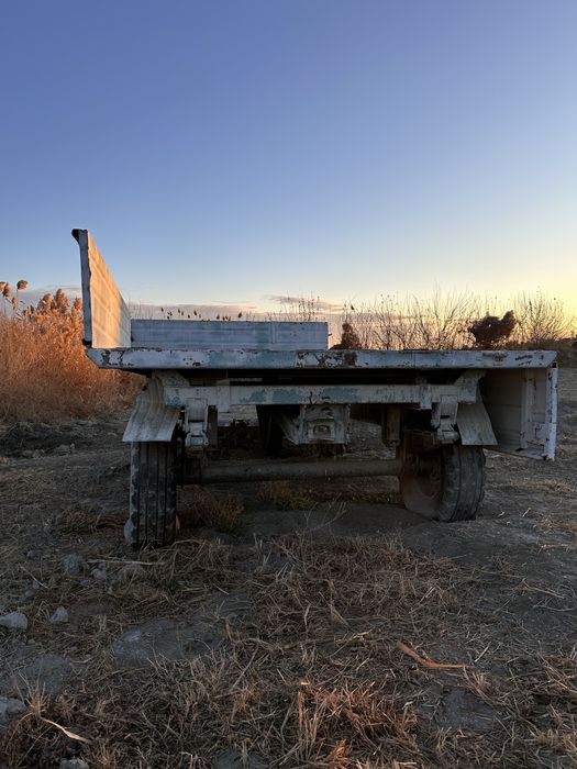 Tilishka zor xolatda