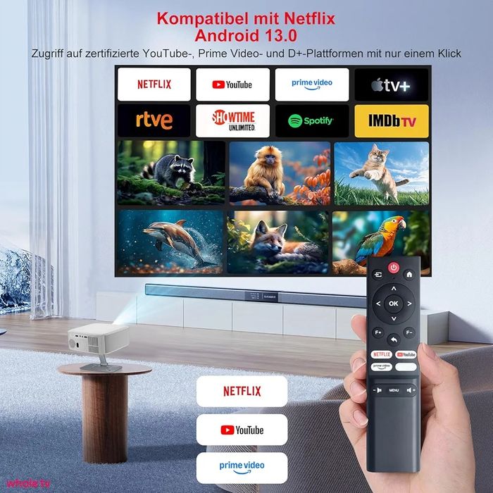 Proiector video (video proiector) Android 13