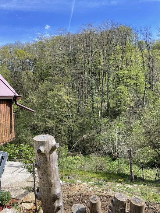 Продава се Къща в с. Малки чифлик, Област Велико Търново - 20 кв.м за 2325 €/кв.м - Снимка #2