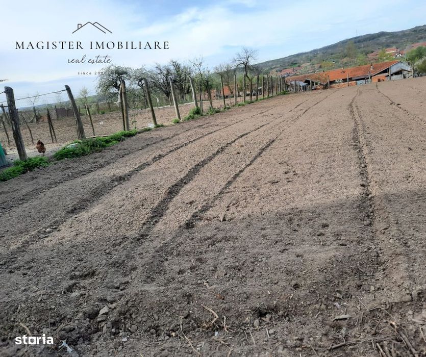 Casa 5 Camere, Teren 1600mp Zorlentu Mare