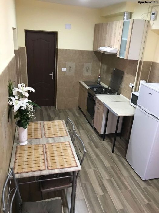 Cazare regim hotelier apartament cu 1 si 2 camere central Timisoara