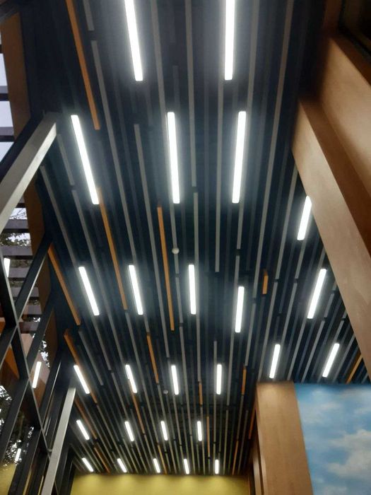 REYCHNI | REECHNIY | Potolok Rechniy reykasimon | REEYKAOBRAZNIY |