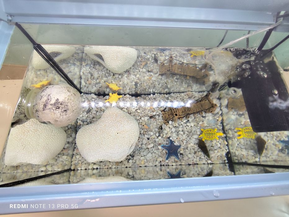 Аквариум Zolux 18 литра