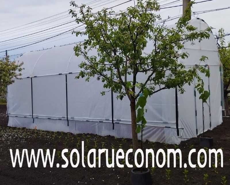 Solarii(sere) cu înălțimea la coamă 3,3 m